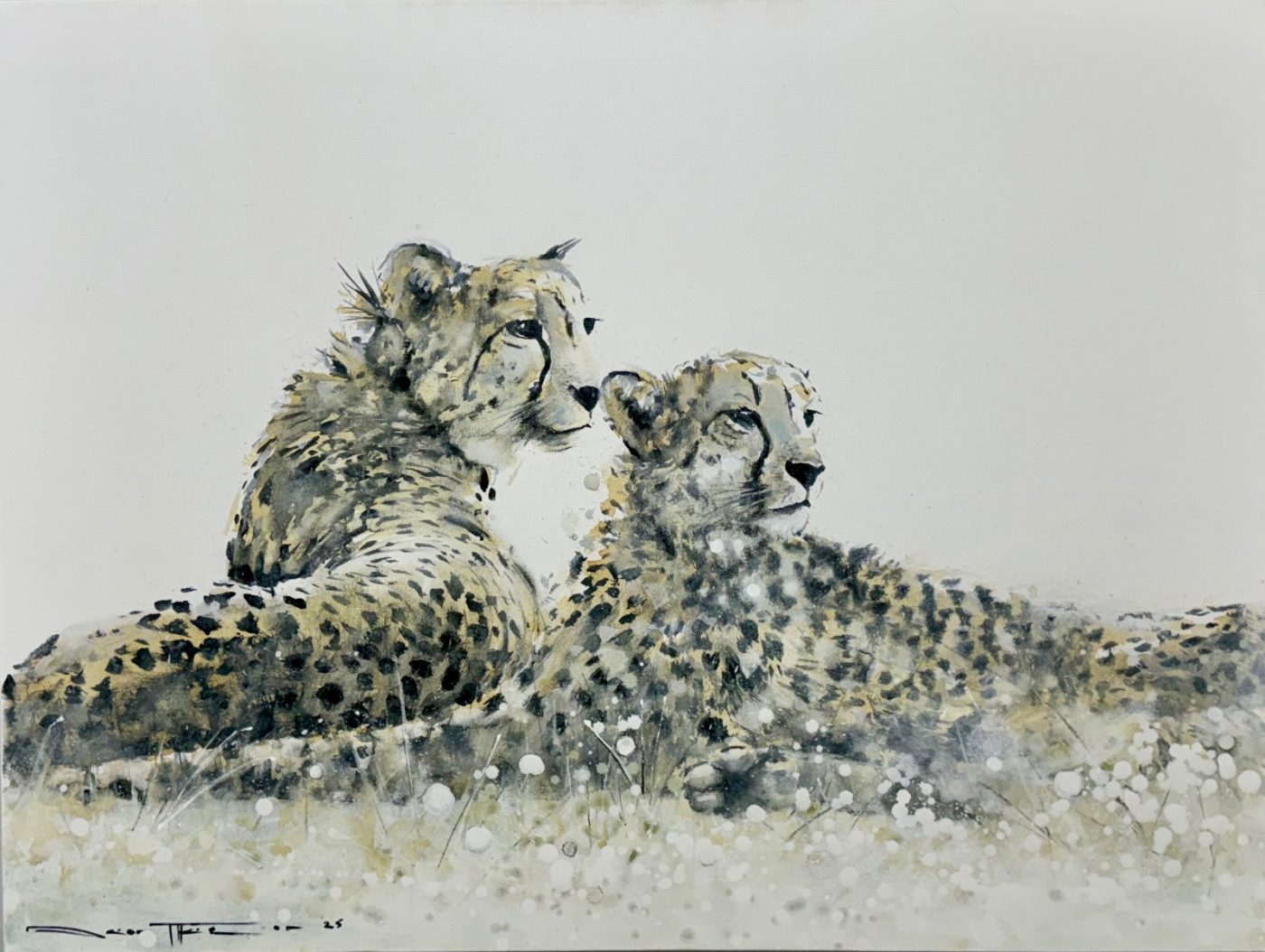 Wildlife by Deon Theron