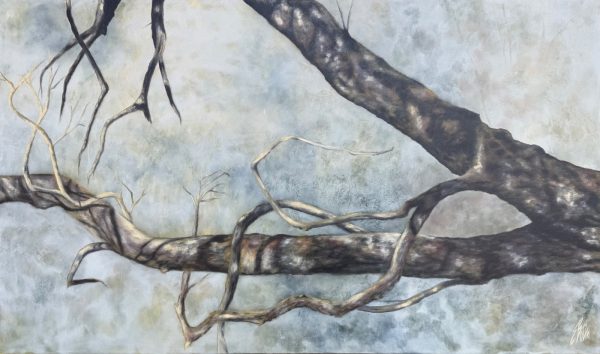 Tree branches