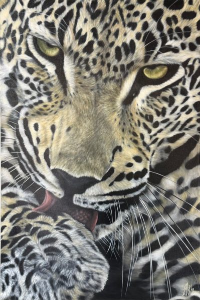 Leopard