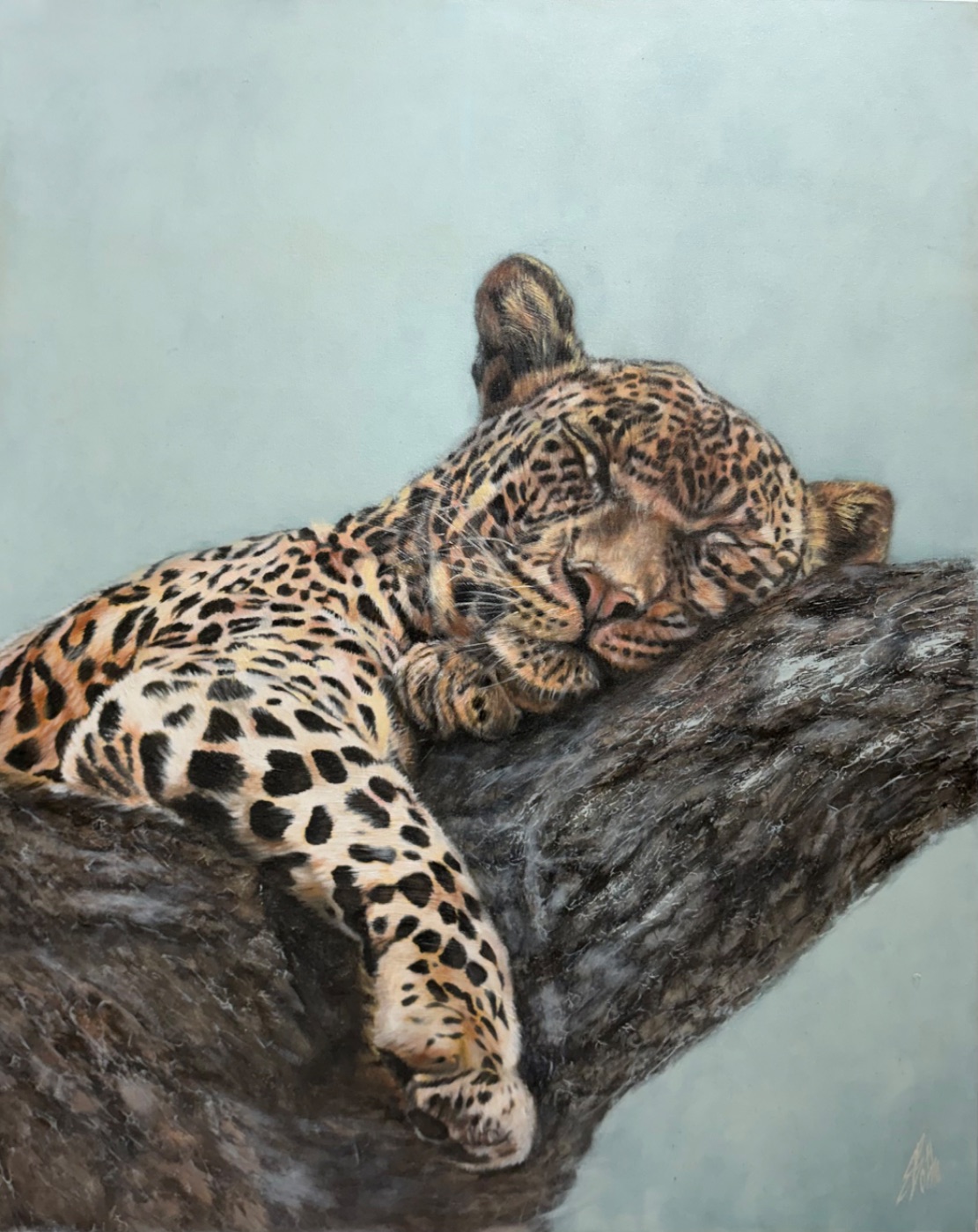 Leopard sleeping by Ella Botha