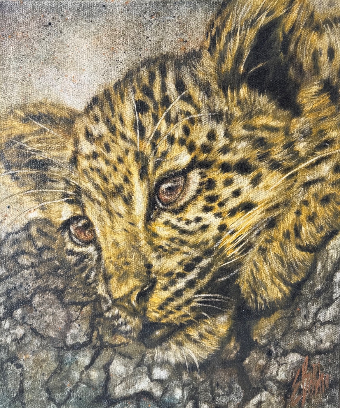 Leopard cub by Ella Botha