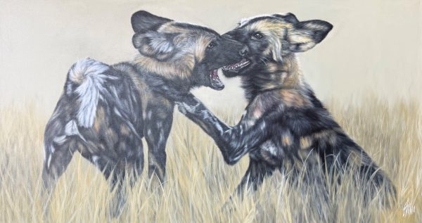 Wild dog cubs play