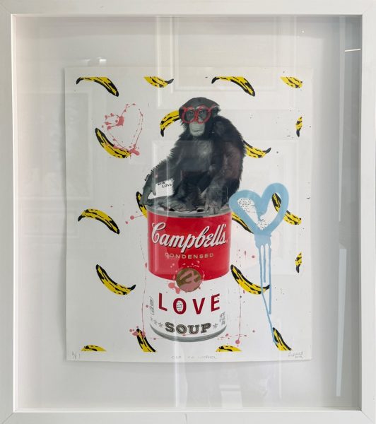 Chimpanzee