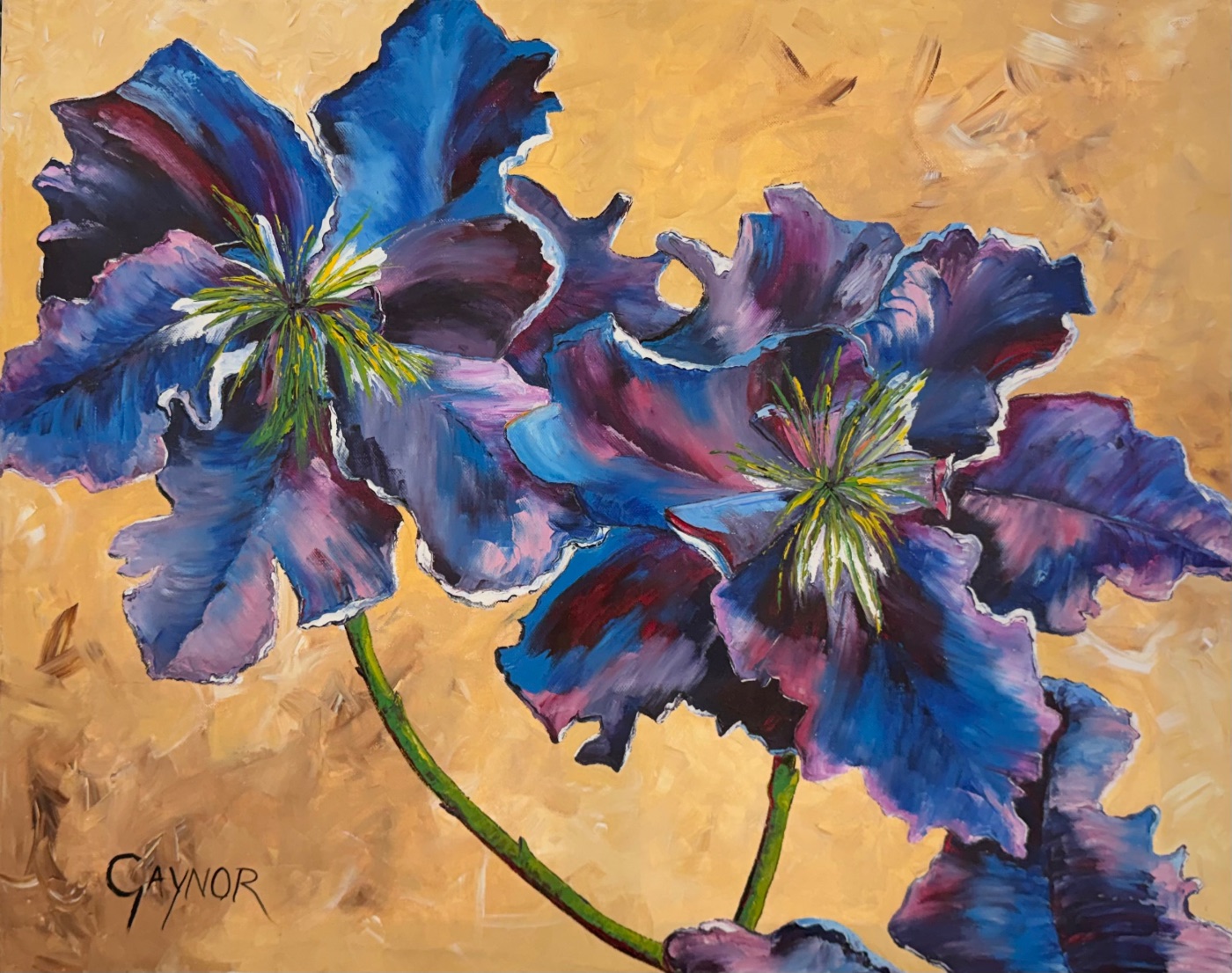 clematis Flower still life by Gaynor