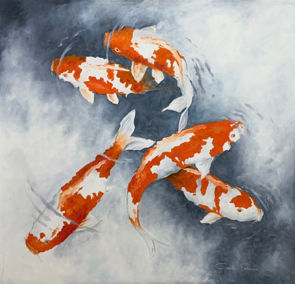 Koi