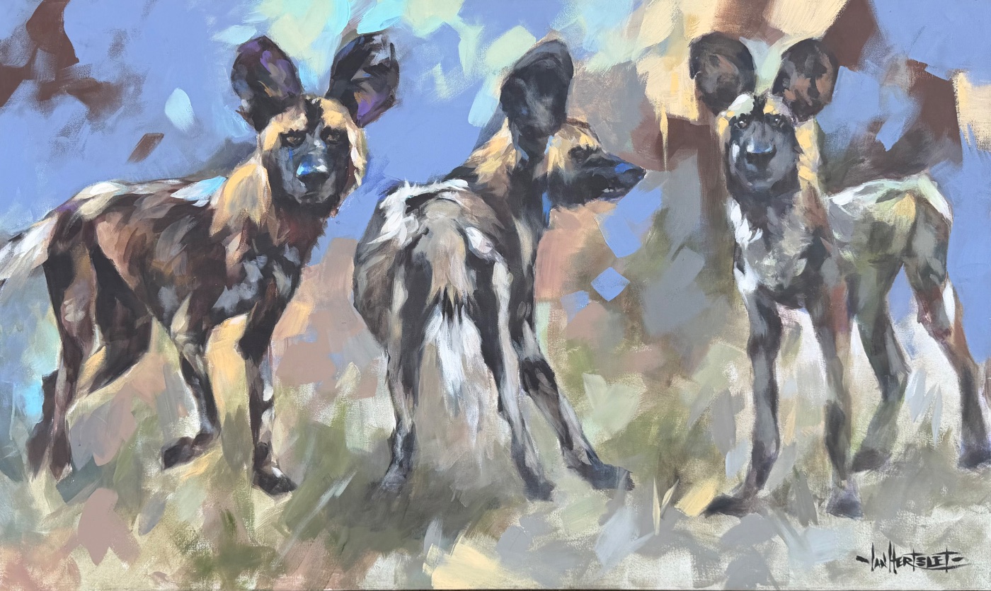 Wild dogs by Ian Hertslet