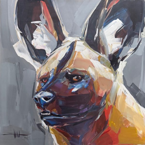 Wild dog