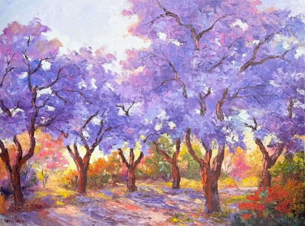Jacarandas