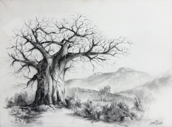 Baobab tree