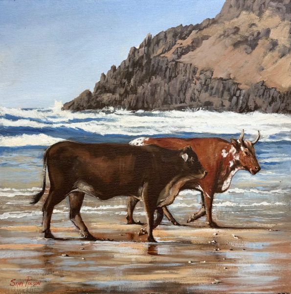 Cows on beach