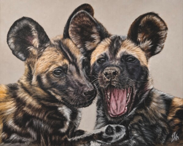 Wild dog cubs