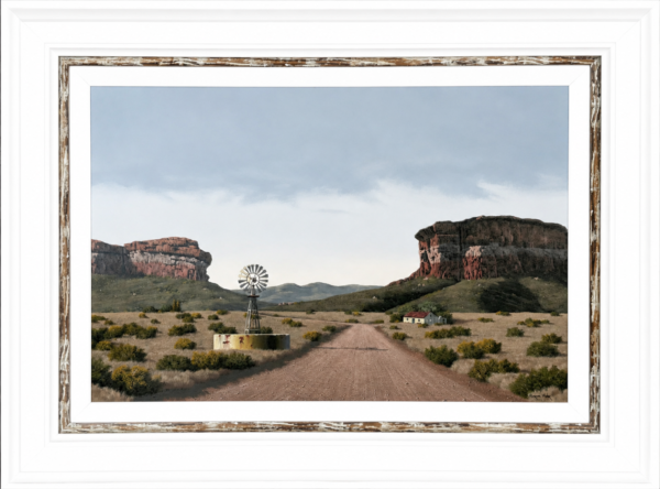 Karoo landscape, windmill