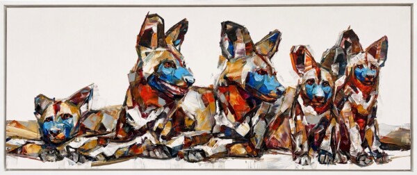 Wild dogs