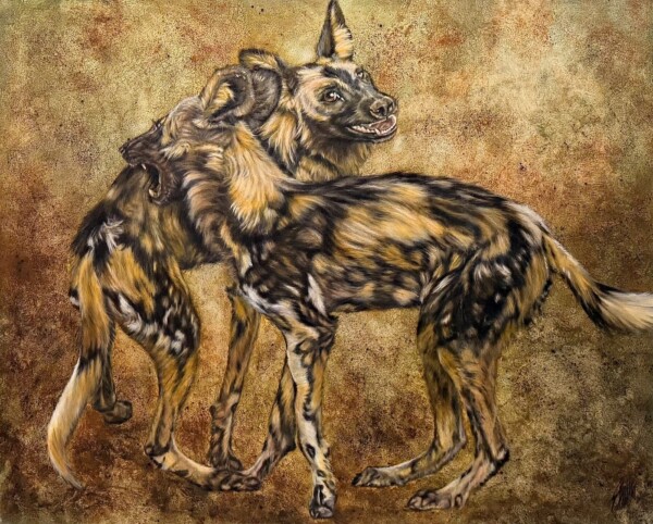 Two wild dogs playing