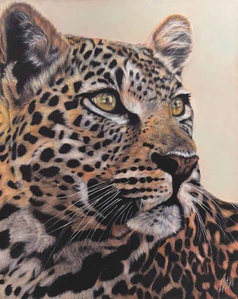 Leopard