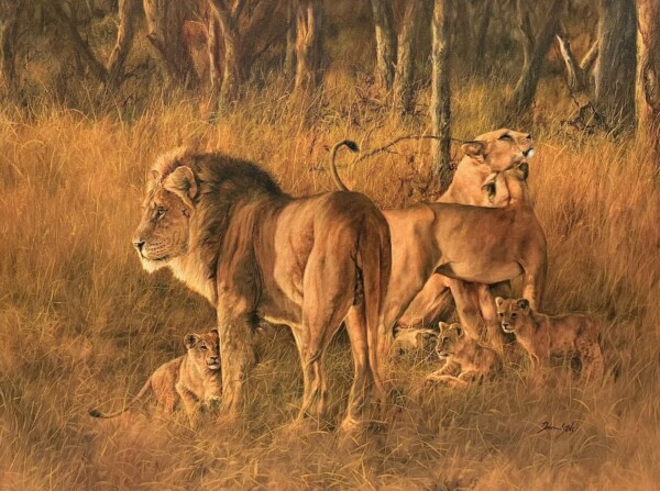 Lion family
