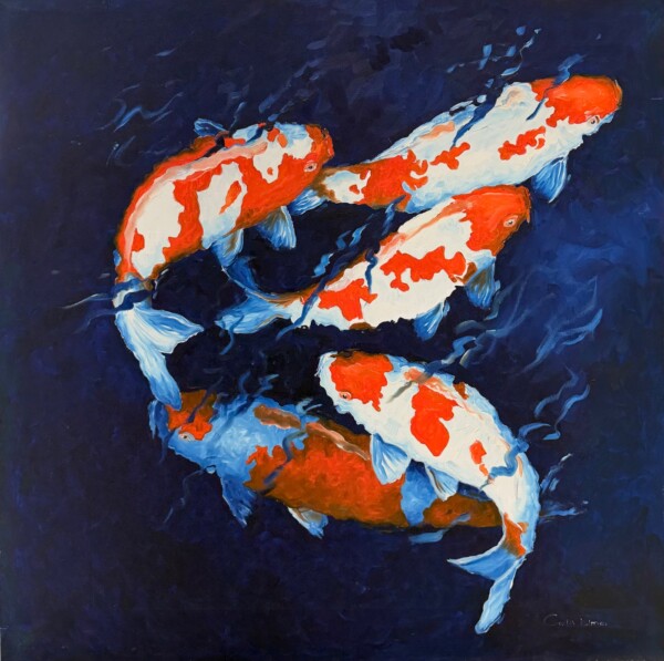 Koi fish