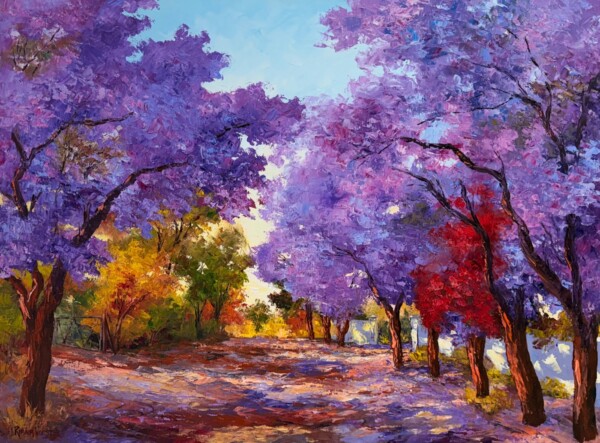 Jacarandas street