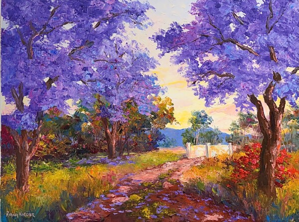 Jacarandas, path way