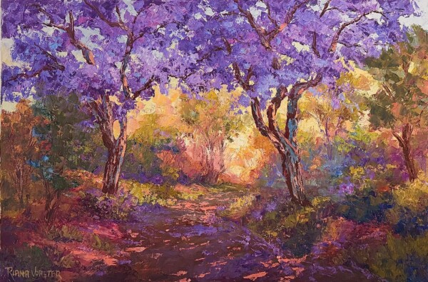 Jacarandas