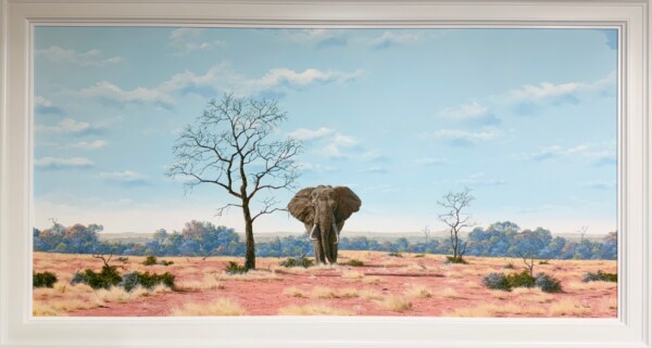 Elephant