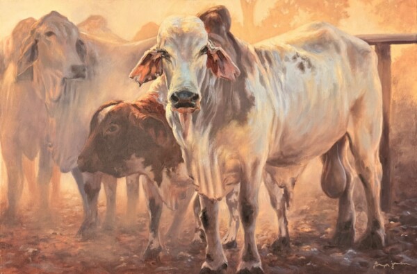 cows