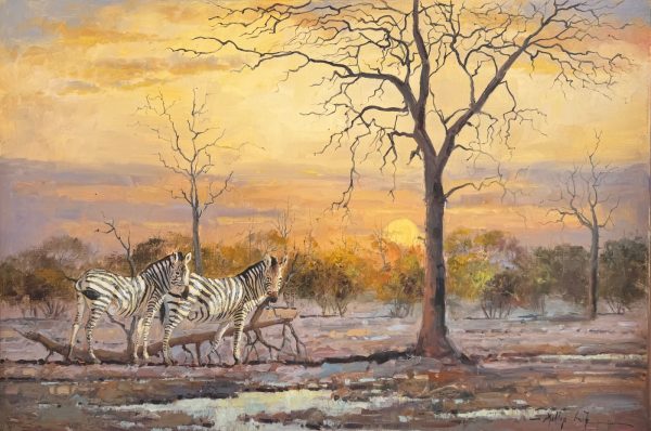 Landscape, zebras