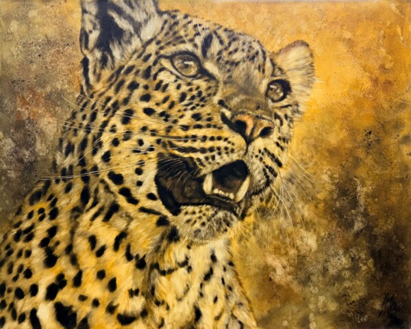 Leopard yellow background
