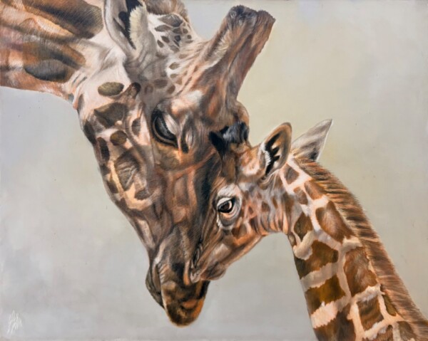 Giraffes