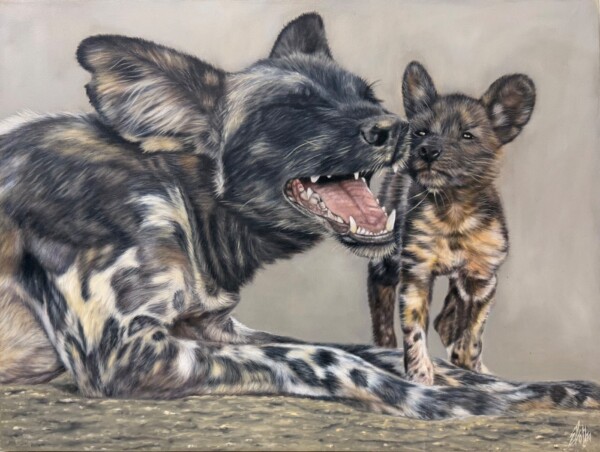 Wild dog with cub