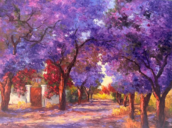 Jacarandas