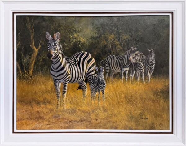 Zebra family